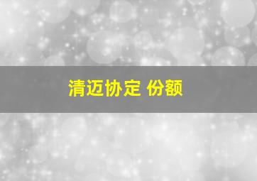 清迈协定 份额